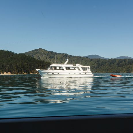 The Boat Ride